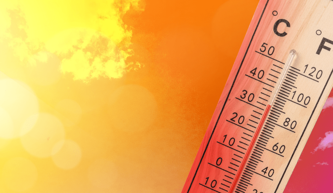 Temperature Regulation in Your RV
